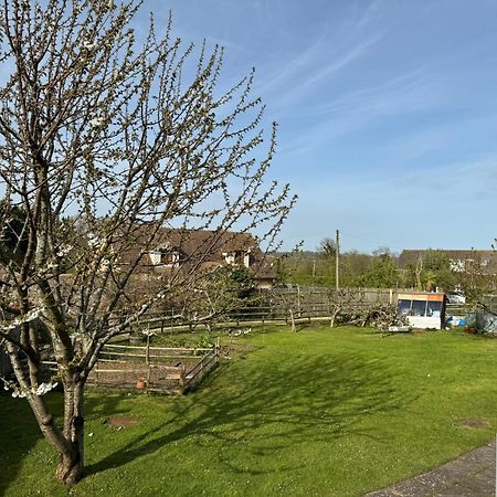 Brading Mulberry Lawn Apartments מראה חיצוני תמונה